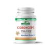 cordyceps csm-2000 provita nutrition